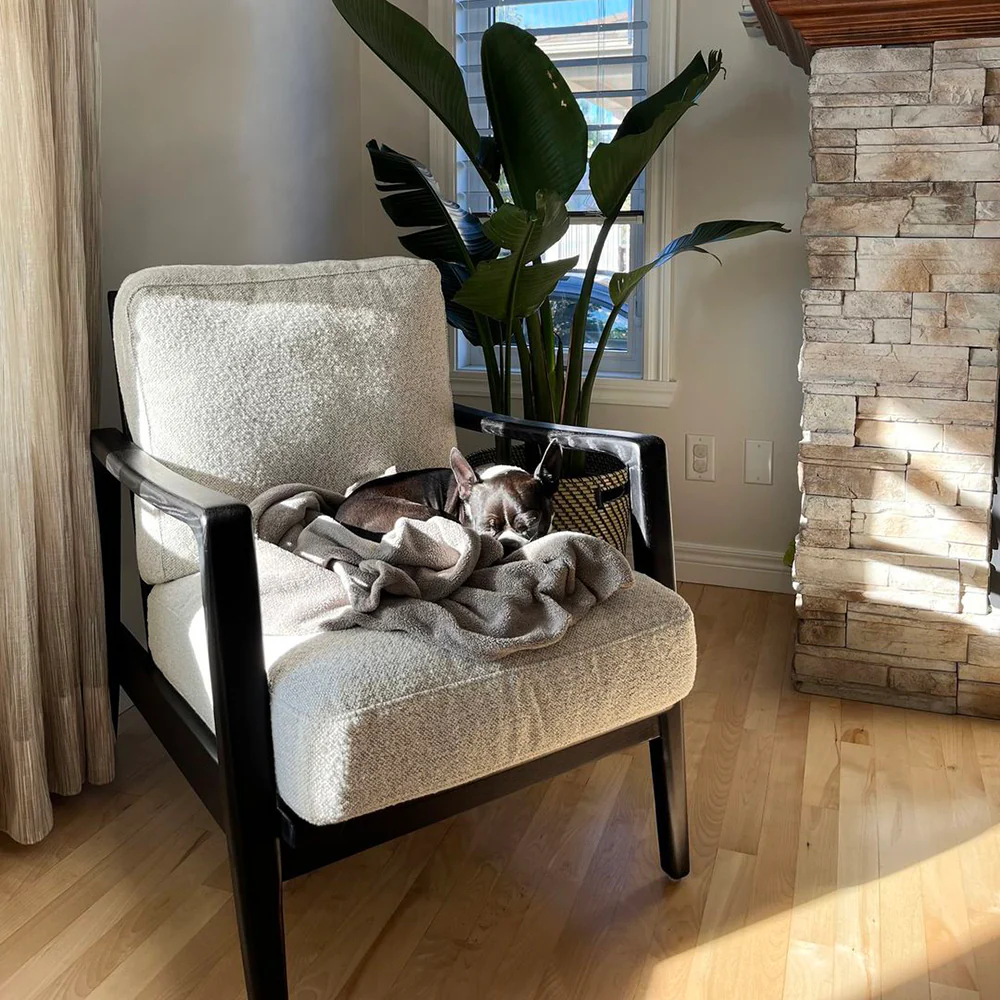 Fauteuil Lucien - Image 6