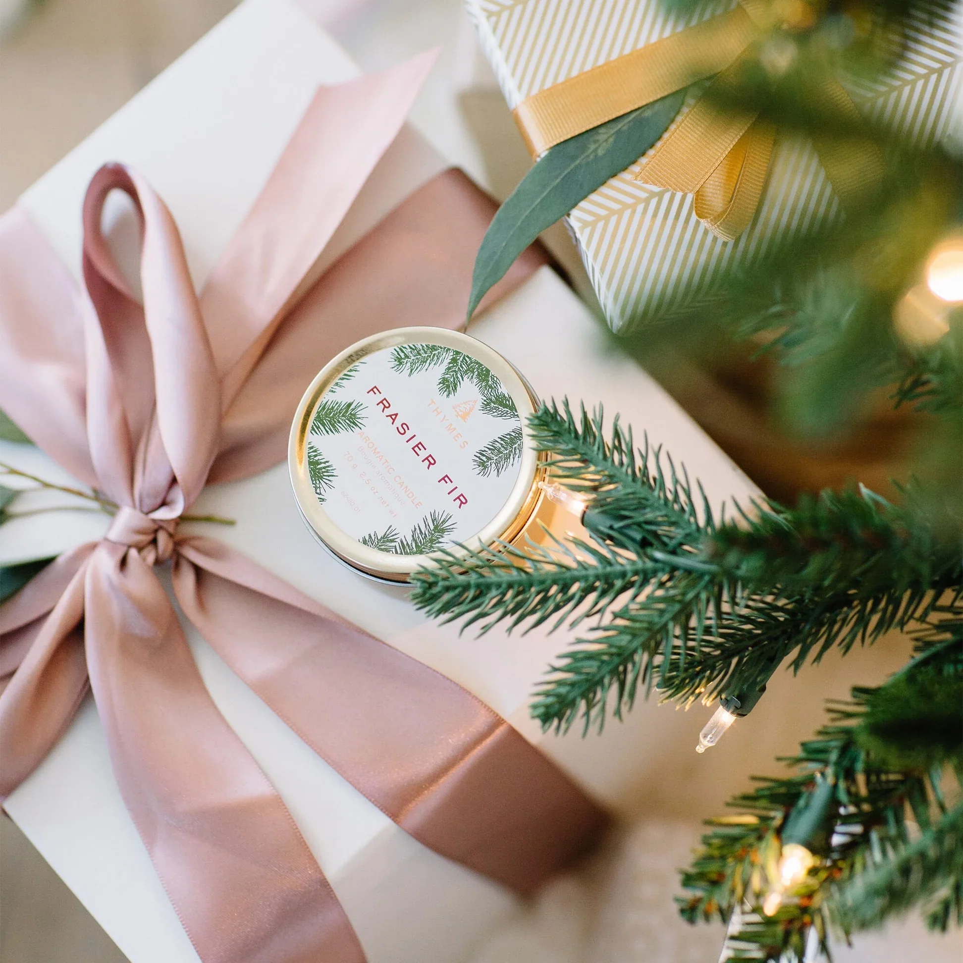 Petite chandelle de voyage Frasier Fir - Thymes - Image 3