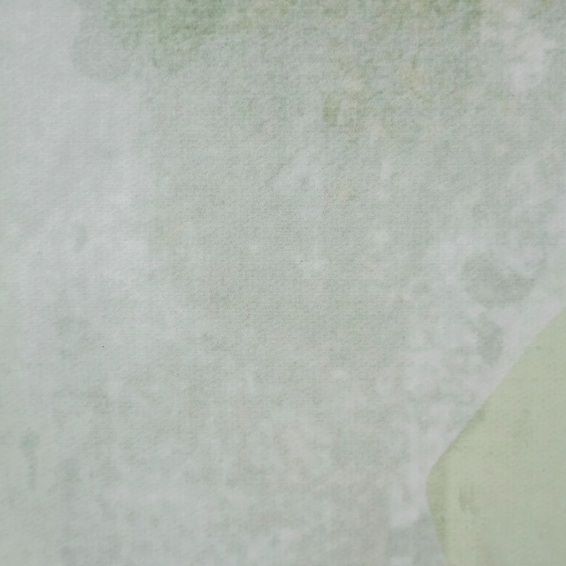 Tableau Flora - Image 5